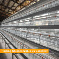 A Type Chicken Use Galvanized Automatic Poultry Layer Farming Equipment